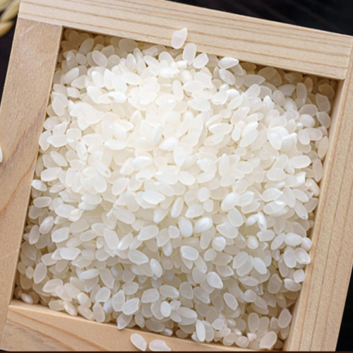 25년 햅쌀 프리미엄 단일품종 골든퀸쌀 10kg